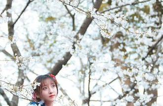 直击Luisa_零纱“套装”：不花钱的免费合集，太良心了吧！