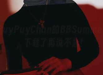 奉上PuyPuyChan的BBSummer全套，下载了再说不急！