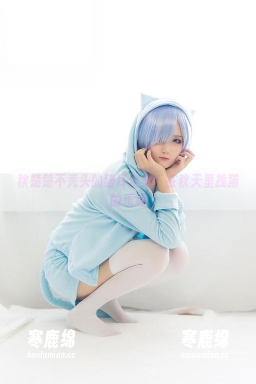秋楚楚不秃头的猫耳全集：在秋天里找猫的乐趣